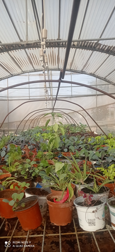 מגמת חקלאות (4).jpg